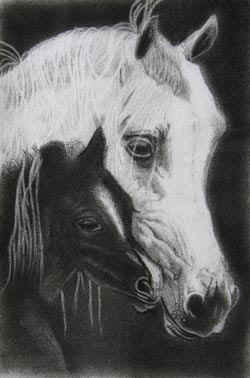 IMG_5033.JPG (36121 bytes)